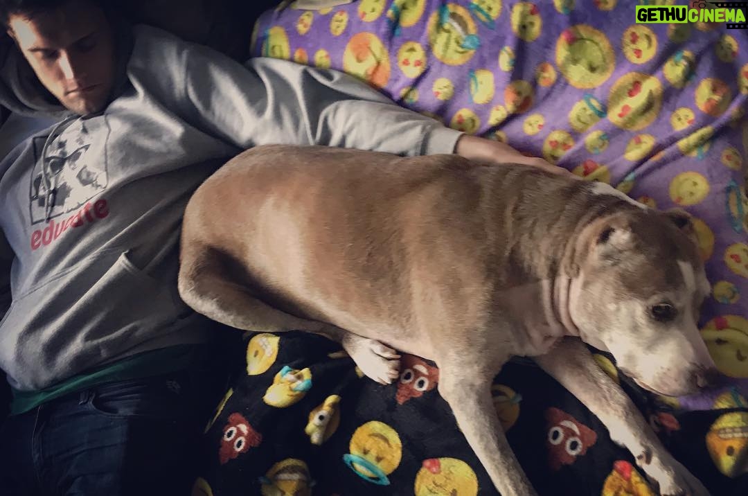Hartley Sawyer - 26.1K Likes - Almost her 13th birthday. Scroll right to see the incision. Me and my absolute love, my little girl Maggie home after her big surgery - the two of us doing what we do best (💤💤💤). Prioritize your furry family members health - low income options are available in many areas! Start a savings for any emergencies. And before you bring a dog home, make sure you’ve *really* thought it through.
#
Hoodie = @standupforpitsfoundation
#pitbullsofinstagram #dogsofinstagram #adoptdontshop #angelforever
@angelcitypits