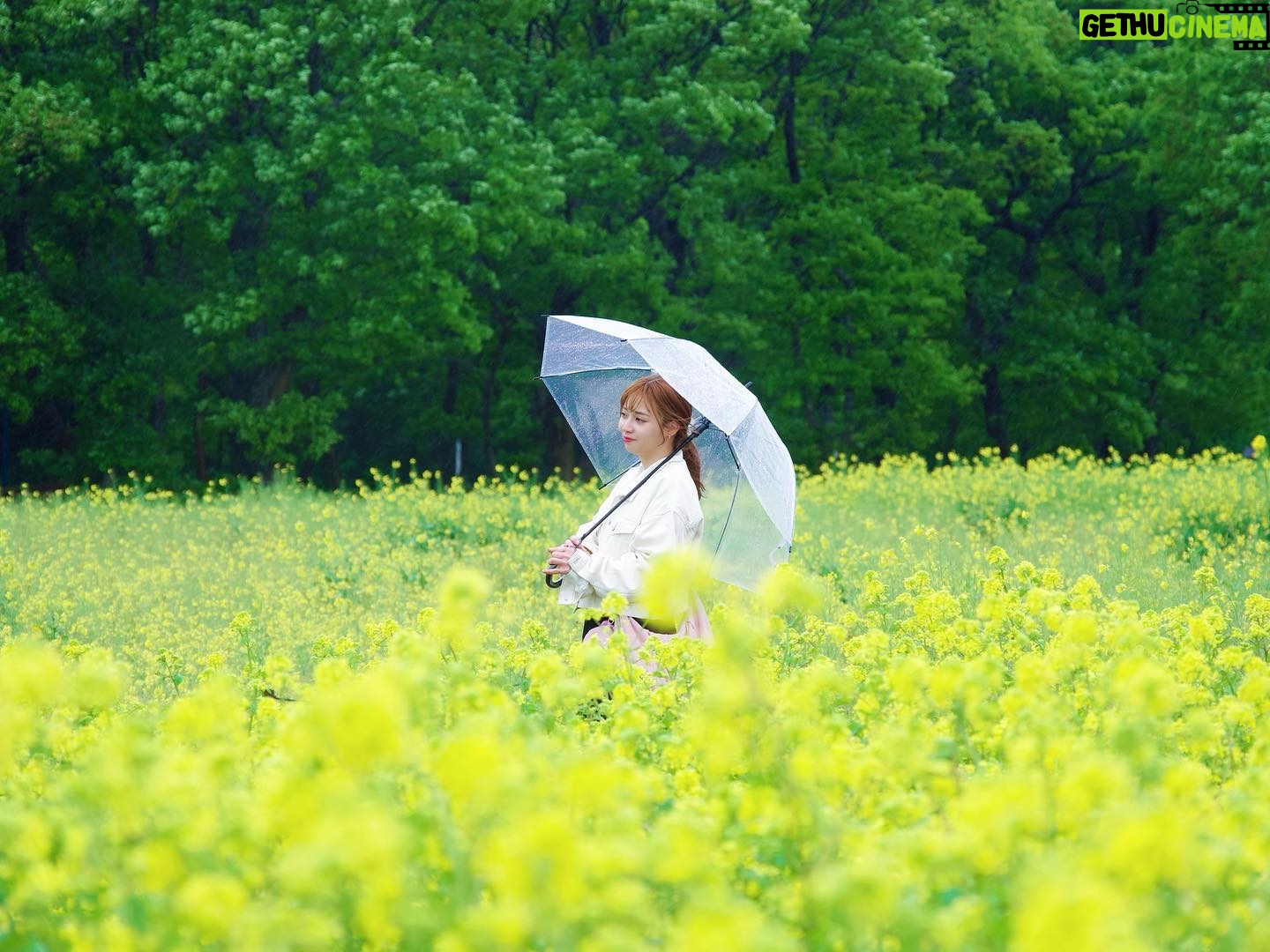 Haruka Yamazaki - 1.2K Likes - 誕生日でした🎂
32⇒33歳は初妊娠というすごい経験をしています。
こうしてこれからも幸せと健康で
生きていきたいです。
それを皆にも少しでも元気を分けたい(💪・▷・)
photo by @shinstadrum