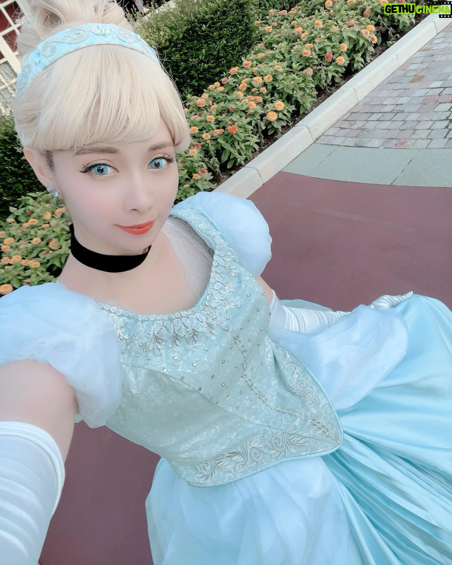 Haruka Yamazaki - 1.2K Likes - ついに、
#ディズニーハロウィン が始まりますね🎃
早く魔法にかかりたい(∩^o^)⊃━☆゚.*・。
#dハロ仮装