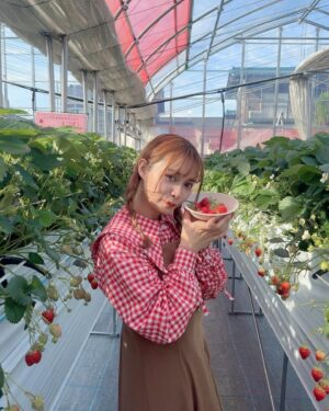Haruka Yamazaki Instagram - 🍓🍓🍓🍓🍓🍓°*.\(*´∀`*)/.*゜
いちご狩り！
with南早紀
｢よつぼし｣がいちばん美味しかった〜！
でも｢紅ほっぺ｣はなんかもう王者みたいだった！