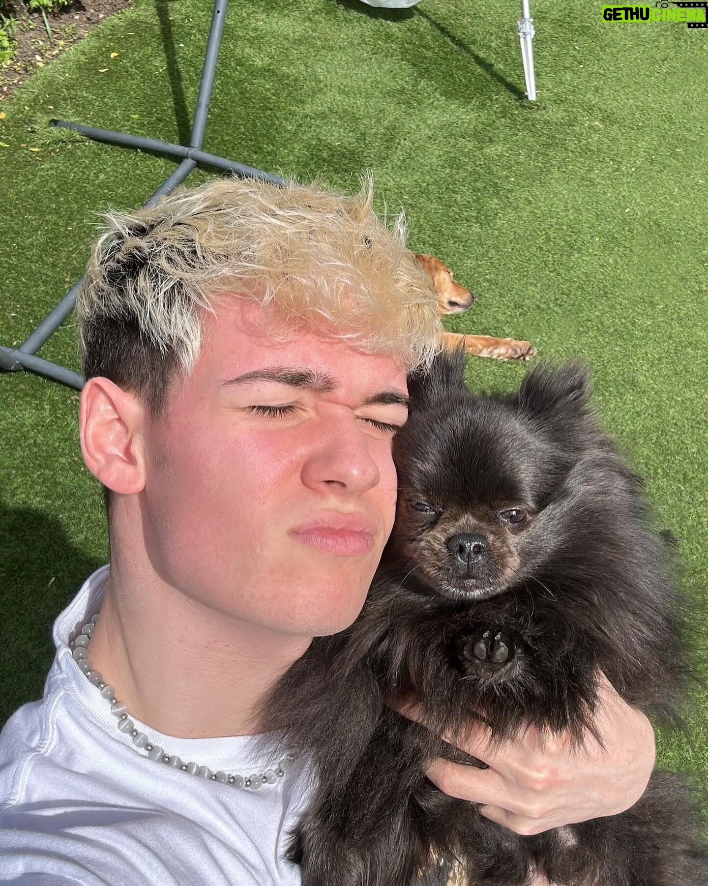 Harvey Mills - 5.4K Likes - billions must fry