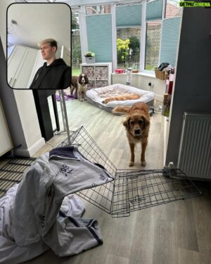 Harvey Mills Instagram - Some information regarding my recent weeks:
1: BeReal usually goes off in the morning idc cry about it
2: Paul
3: Purple lady took me to not Finland
4: Guilt
5: Lone Hamilton
6: Child Labour
7: Green Screen Cover