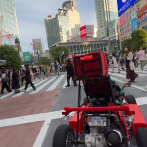 Harvey Petito Instagram - real life mario kart or whatever