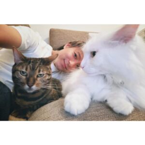 Hayate Wada Instagram - .
おうち時間🐈
エトのやる気のない顔と若干のブレがお気に入りです笑