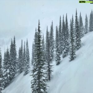 Hazen Audel Instagram - We live on an amazing place. 

#winterphotography
#snowboardordie @rad.air.sandy #pnwlife #powderhound #conifers #fortheloveoftrees #kühl #khul #carvingsnowboard #extremecarving #lifelongfitness