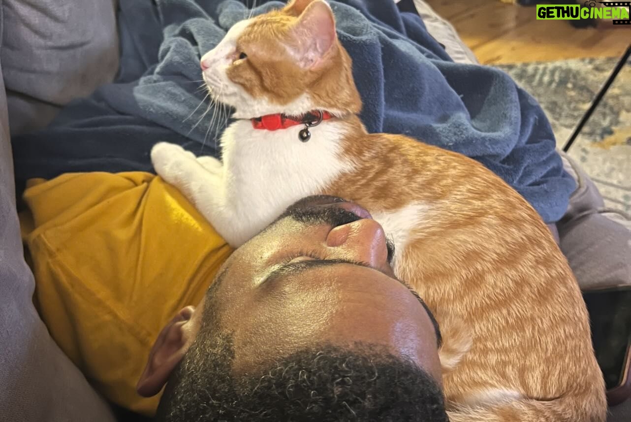 Heather Monroe - 287 Likes - Happy birthday to my Ken! I’m so happy to have you in my life, thank you for always taking care of me and being the best cat dad around. Here’s to many more years of celebrating ❤️