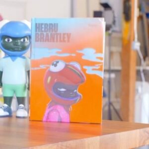 Hebru Brantley Instagram - It’s been a long time coming but it’s finally here! Excited to announce my new book launches on 11/15 8a pst SIGNED copies of the book will ONLY be available at www.hebrubrantley.com @hebrubrandstudios @rizzolibooks #grateful