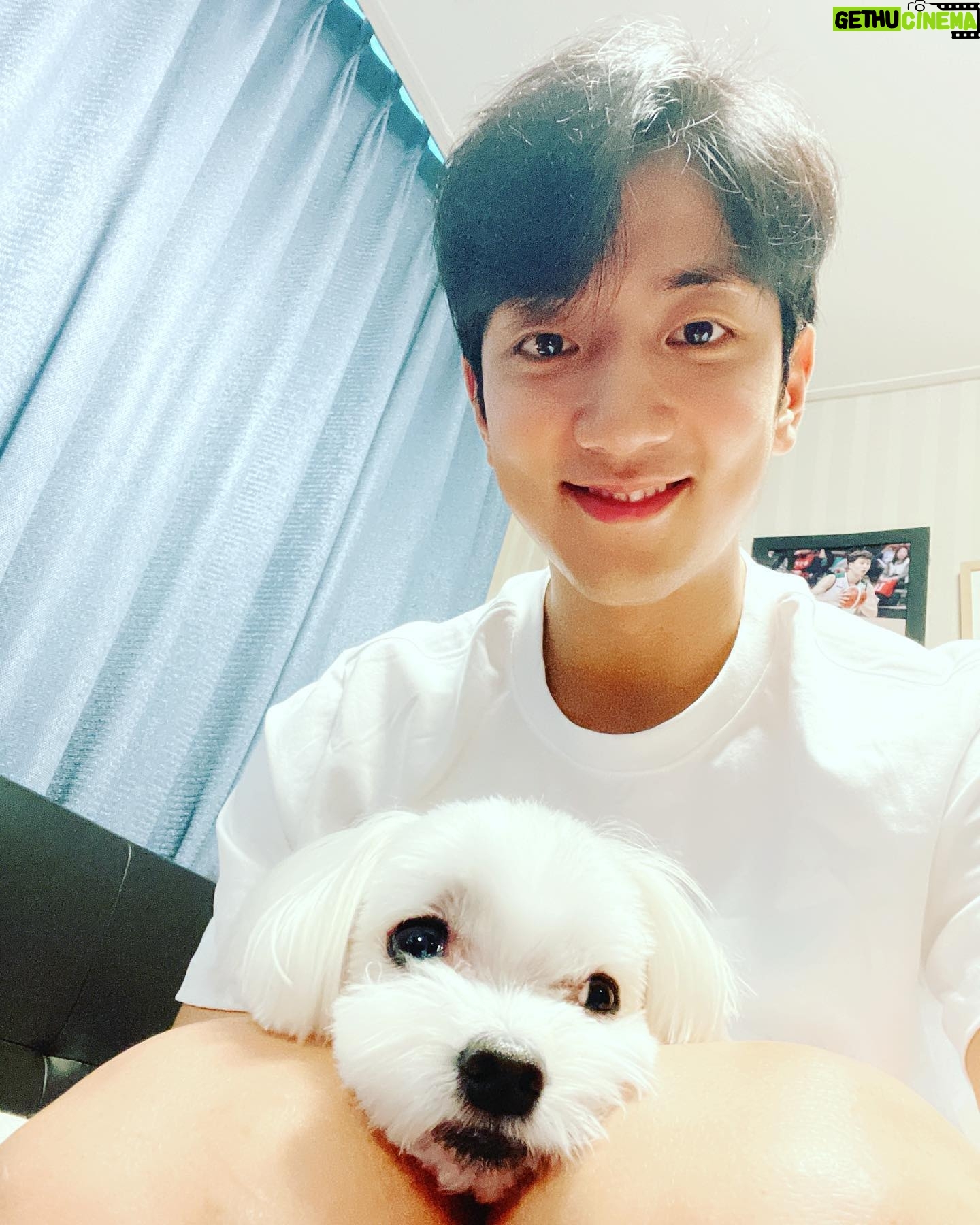 Heo Hoon - 15.4K Likes - #코삼부자
코코아 형아 어디있어 형아~?
즐주✌️