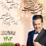 Hesam Navabsafavi