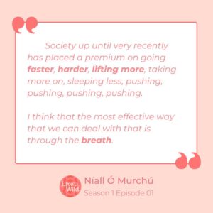 Hilary Rose Instagram - Throwback to Season 1⭐️

The full video podcast of @thehilaryrose ‘s conversation with @breathewithniall is now available on YouTube 📹

🔗Link in bio

Check it out!

#livewildpodcast #wellnesspodcast #irishwellnesspodcast #livewild #hilaryrose #eatwild #thinkwild #bewild #niallomurchu #breath #breathwork