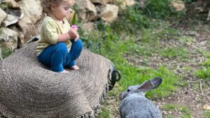 Hili Yalon Instagram - אתגעגע לכולכן אנה עזה שימחה טון טון וג׳אננה מקווה שיהיה לכם כייף בבתים החדשים שלכן 🤍🫏🐇🐐🪶 אבוא לבקר🤍 הייתן חברות אמת🤍