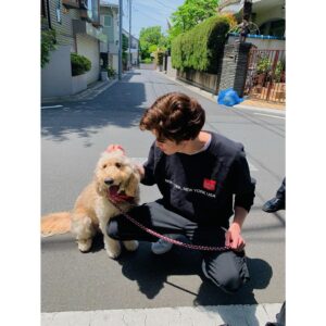 Hio Miyazawa Instagram - Cooper