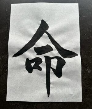 Hiroki Narimiya Instagram - 今年の書き初め
First calligraphy of the year.

天から与えられた命に感謝を忘れずに、そして、人生は生まれてきた意味を探し続ける長い旅ですね。元日の地震や世界のニュースを見ながら改めてそう感じました。

#書き初め 
#生きる力
#天命