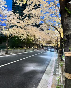 Hiroki Yasumoto Instagram - 散っちゃうね