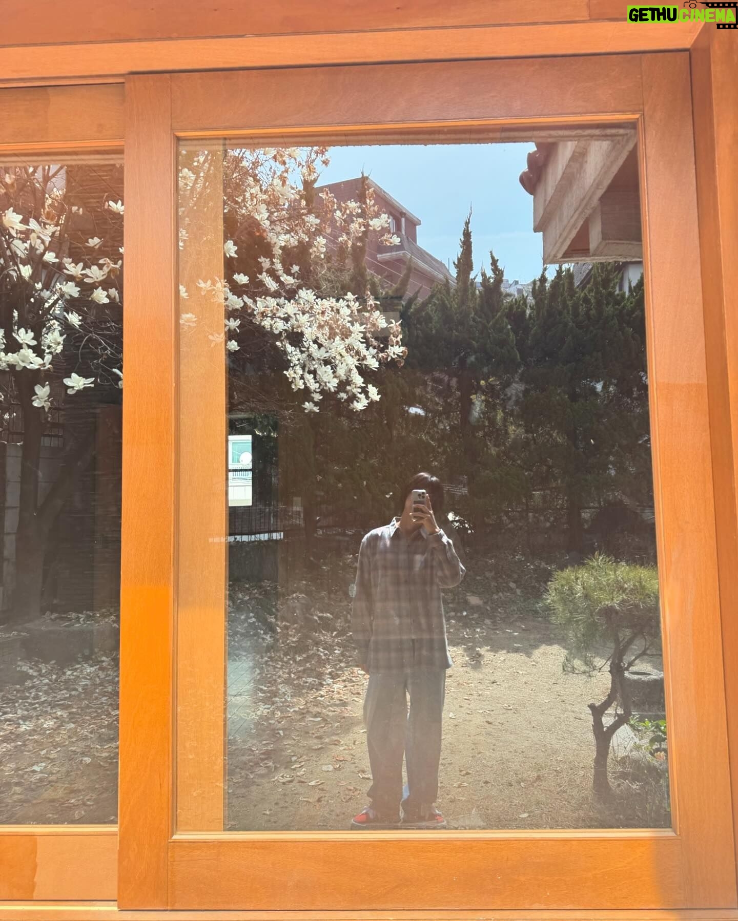 Hong Seung-bum - 9.2K Likes - spring after all 😊