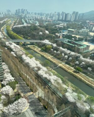 Hong Seung-bum Instagram - spring after all 😊