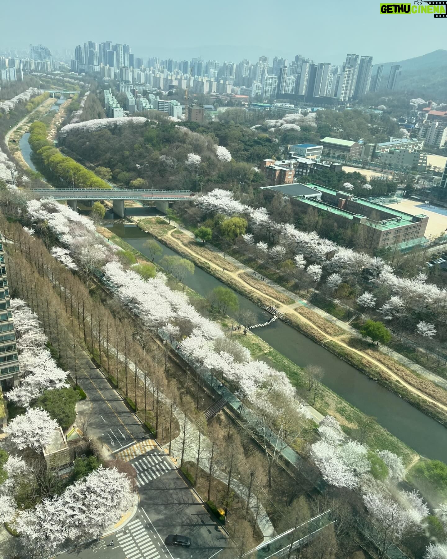 Hong Seung-bum - 9.2K Likes - spring after all 😊
