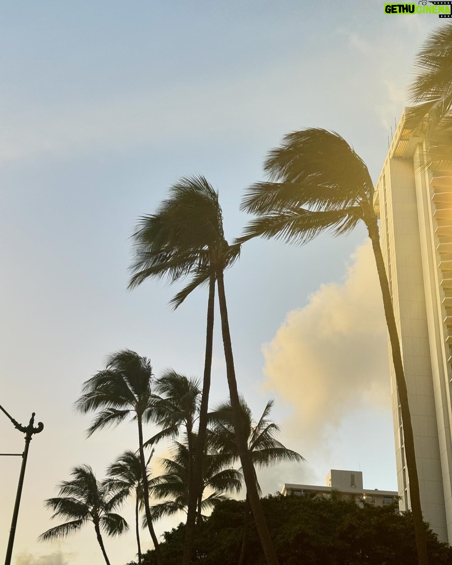 Hong Seung-bum - 12K Likes - perfect weather makes the perfect mood🌴☀️