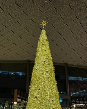 Hong Seung-bum Instagram - December, 🎄, 🎂

Farewell 2023