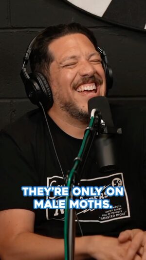 Howie Mandel Instagram - The absurdity of mothballs according to @salvulcano