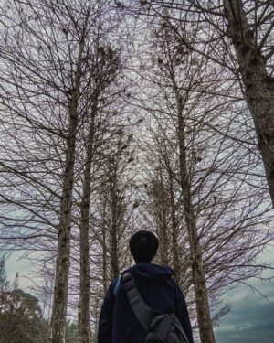 Huang Peijia Instagram - 🌳
與其當一隻能自由飛翔的小鳥，
我更想當一棵堅毅挺拔的大樹。

小鳥飛累了能來短暫歇息，
在我的枝幹上理毛與高歌。

即使大風吹來遺落了幾片葉子，
也都能視爲一種新生無關痛癢。