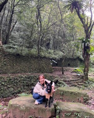 Huang Peijia Instagram - 🌲
看看樹、
看看樹葉的紋理，
看看天、
看看雲霧的流動。

#與辣辣和辣辣媽四處看看👀
