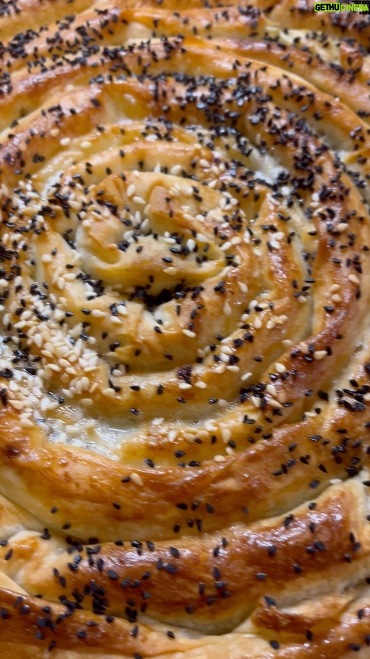 Hümeyra Aydoğdu - 3 Likes - Karbonhidrat sevmeyen var mı ? 😀
Pazar kahvaltısına Ispanaklı Börek sütlü çörek
Küçük püf noktaları ;
Tazecik yufkalar arasına ön pişirme yaptığım
Bol soğanlı ıspanaklı iç harc
Çıtır çıtır pişmesi için de üzerine soda ve zeytinyağ
Ve 1 yumurta sarısı sürdüm.
180 ° kızarana dek fırınladım.
#düsseldorf #turkishfood #börek
