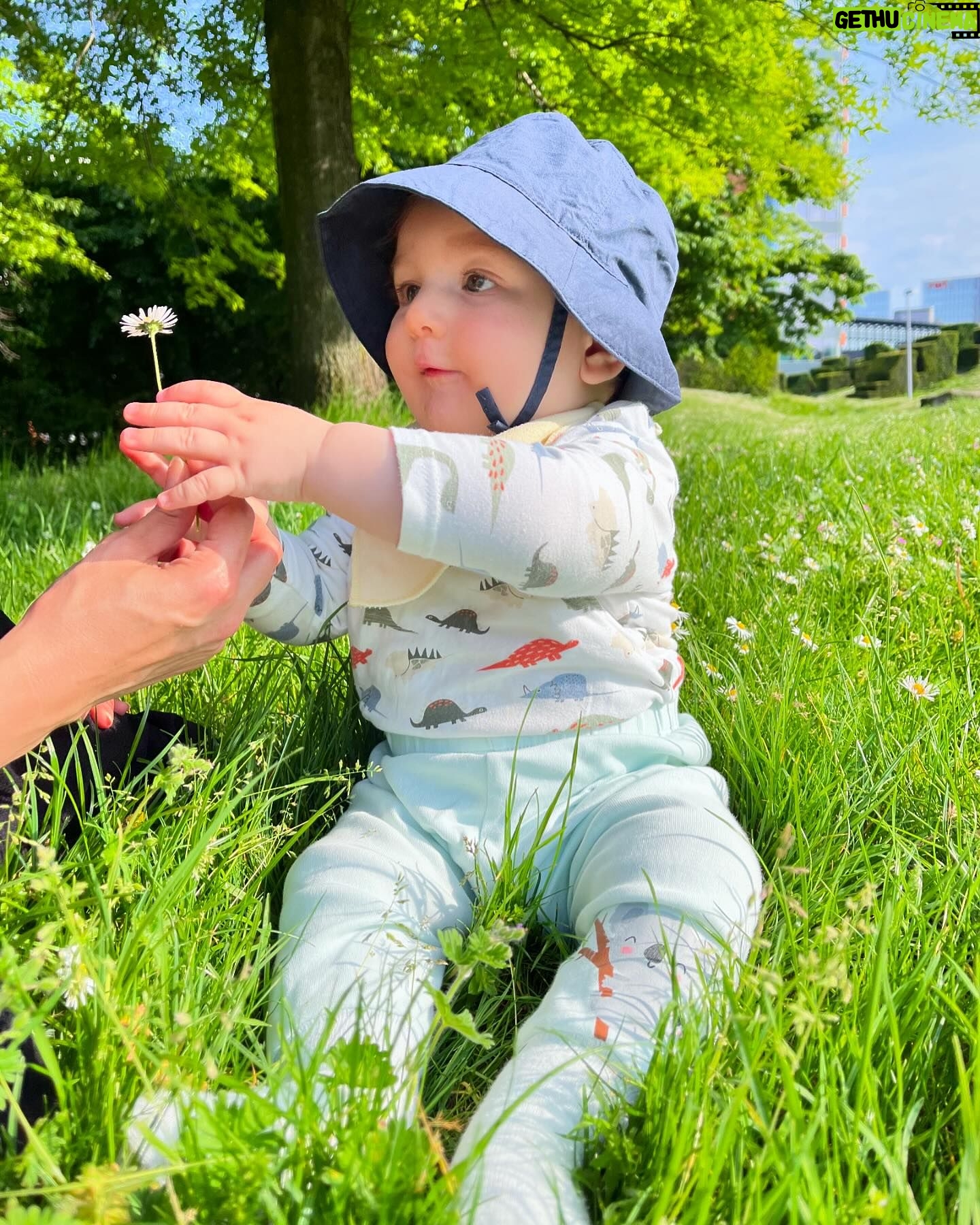Hümeyra Aydoğdu - 3 Likes - Annecim papatyayı 🌼 yemiyoruz 😄 Anneye hediye ediyoruz bugün 🐥🌼
My first Mother’s day as a mom ❤️🧿
#happymothersday