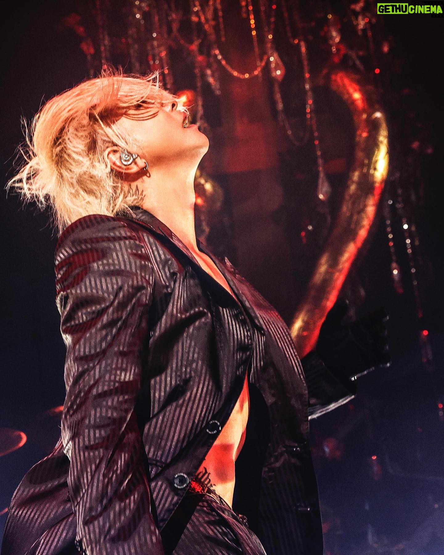 Hyde - 33.9K Likes - Nagoya Day 3! It was chaotic!
#HYDE
#HYDELIVE2023
#声出し解禁
#ZeppNagoya