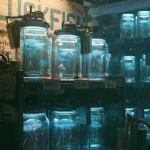 Ian Hubert Instagram - I've been working on jellyfish for the past couple days, and I'm really glad with how they turned out (tried a lot over the years, always with horrifying results)! All the animation is just a single wave modifier; it works kinda eerily well!

Also designed a little jellyfish shop for the Waterworks Market scene.  Turned out very similar to how I pictured it in my head (sort of a "back of the pet store" vibe), which is always fun. 

Render times are intense, though!

#jellyfish #cg #vfx #b3d #blender3d #scifi #cyberpunk #filmmaking #digitalart