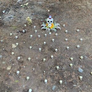 Ian Hubert Instagram - Aaaa!! I got engaged to @kaitlinlafrustrada last weekend!!! I seriously couldn't be more excited. Thanks for going with me on this wild life, babe!! :D I love you! (The skull mandala is a sort of Bower Bird scenario; she has a thing for bones)