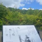 Ichikawa Ebizo XI