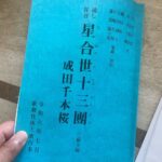 Ichikawa Ebizo XI