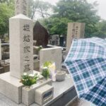 Ichikawa Ebizo XI