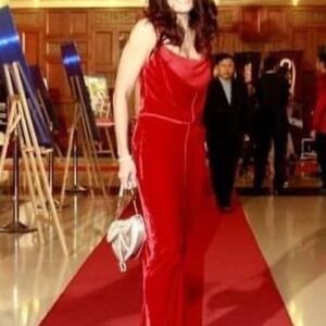 Ida Nerina Instagram - When my @dior dress melted into the red carpet 😅#FFM 2006