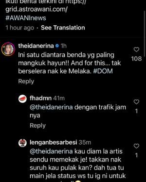 Ida Nerina Instagram - What an a**h***- stupid and cowardly- using a pseudonym and no followers. 🤮