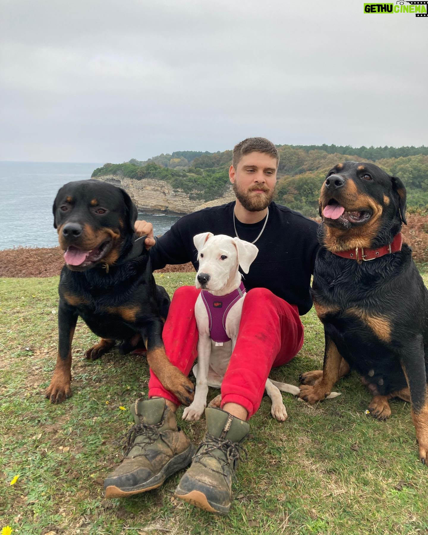 İdris Nebi Taşkan - 30.1K Likes - Karsiliksiz,beklentisiz sevebilmek… Bu canlilara zulum edenler bilmelisiniz ki biz insanlarin onlardan ogrenecegi cok sey var ! 🐶🐕🦺🦮