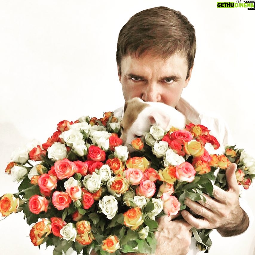 Igor Lifanov - 2.9K Likes - Кто-то находит в капусте,кому-то приносит аист,моя же нашлась в цветах💐🐶