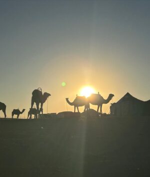 Ilyes Raoul Instagram - 🏜️🌵