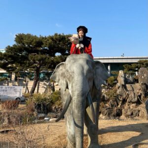 Im So-yun Instagram - 2016년에 꿈에 그리던 동국대학교에 입학해 몇번의 공연을 하고, 몇번의 휴학도 즐기고, 동기들과 깔깔 웃다보니 시간이 흘러 2022년에 졸업을 하게 됐다. 이 때 만난 소중한 인연들은 지금 내 삶의 중요한 부분들이 되었고, 지금의 나를 만들어준 소중한 경험들이 됐지!

고마워 동국대야~ 잘가 동국대야~
나도 코끼리 타봤다🤗