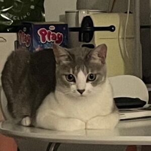 Im So-yun Instagram - 내가 좋아하는 삐진 임자
