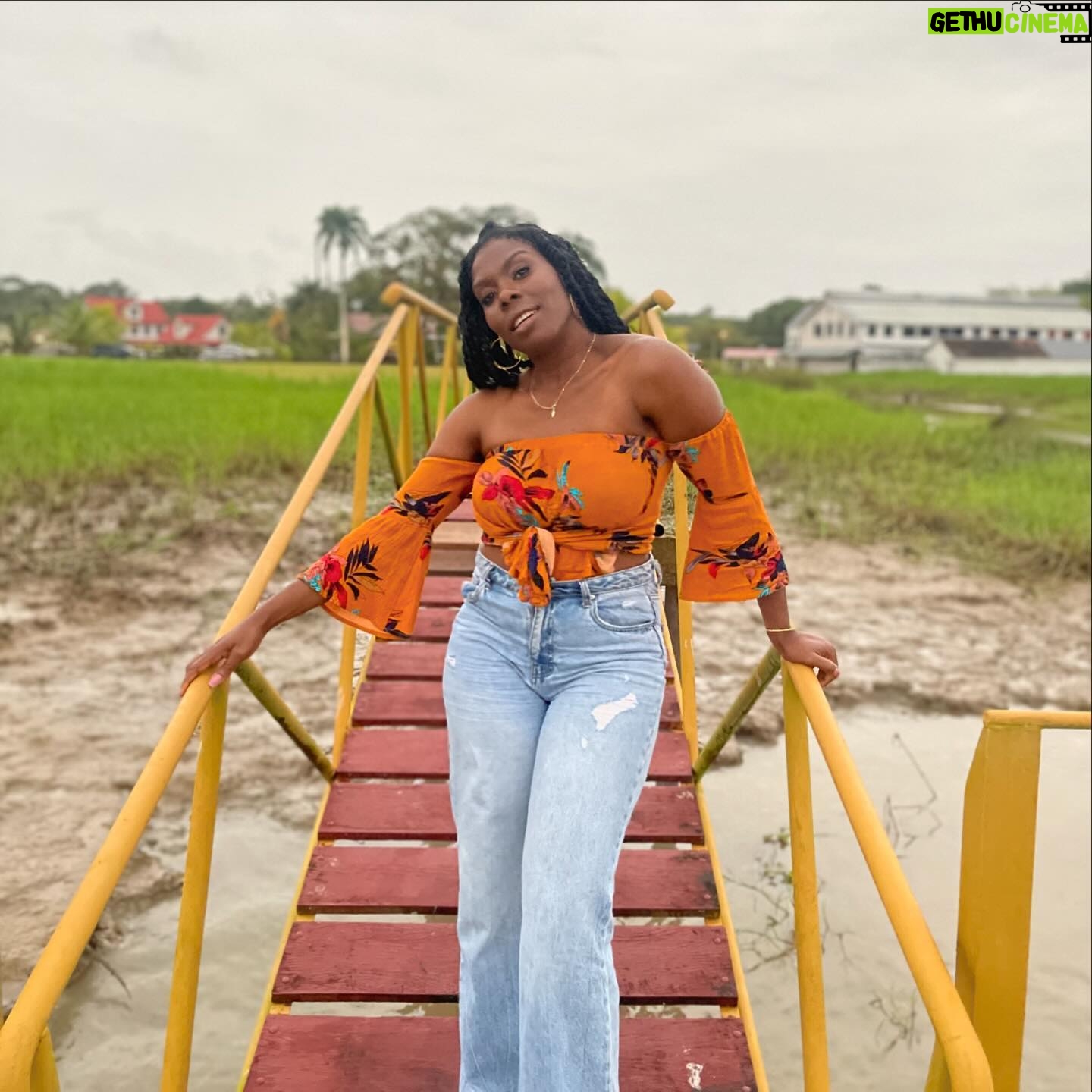 Imanuelle Grives - 583 Likes - Op Kingsday kan een spam met mijn favoriete āOrange momentsā š§”š§”š§”š§” niet ontbrekenā¦
1. My birthday in Cape Verde ā24
2. Premiere van āde Vuurlinieā ā23
3. Shoot met mān zus @alexahbk ā20
4. Op de set bij āZina 2ā 2024
5. Vrijwilligerswerk in Suriname met @ilonkaelmontfoundation en @hesdylonwijk ā23
6. Geweldige view over Istanbul @bramhotel_istanbul ā23
7. Dubai sipping on a Yacht ā23
8. Bij @hotelpeperpot in Suriname ā23
9. Met mān baby @saharmaquillage in Dubai ā23
10. Groepsfoto met de Koninklijke familie na het optreden met @ditiswatwedoen op Kingsday 2023 in Ahoy.
Vandaag ben ik lekker tranquillo op Kingsday! Wat doen jullie allemaal? Waar zĆjn jullie?
.
.
.
.
.
.
.
.
.
#kingsday #kingsday2024 #orange #orangoutfits #dubai #koningsdag #koningsdag2024 #solotrips #womantravel #womentravel #capeverde #boavista #performance #