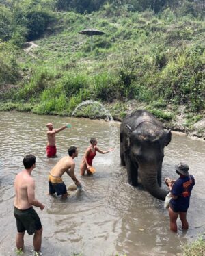 Inês Costa Instagram - best day ever 🐘