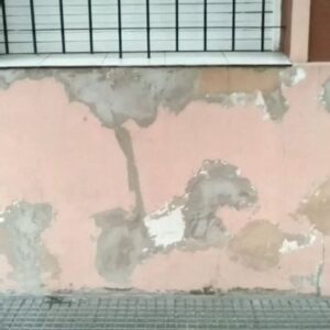 Inés Efrón Instagram - Comparto un paseo por mi barrio y por mi mente. Este video fue mostrado en el encuentro al que fuí invitada por el @centroextensionpsicoanalitica para hablar de la soledad en las grandes urbes.