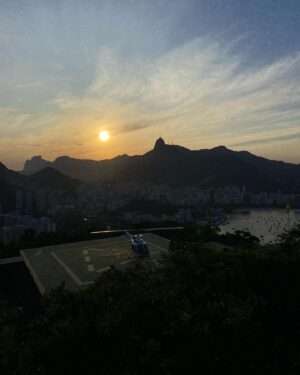 Inês Monteiro Instagram - Random Rio 🔈🦒🐵🕷🐊