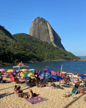 Inês Monteiro Instagram - Random Rio 🔈🦒🐵🕷🐊