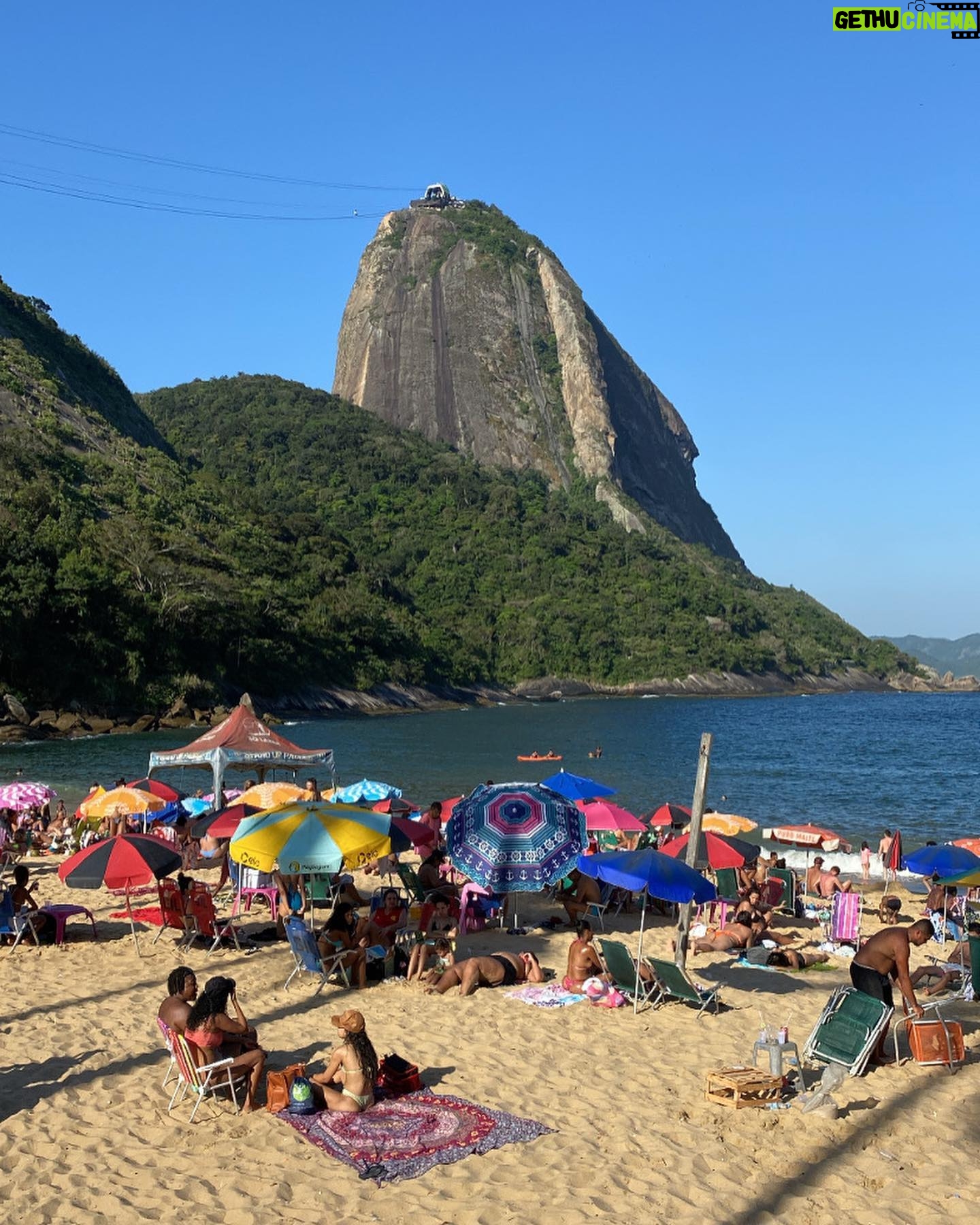 Inês Monteiro - 3 Likes - Random Rio 🔈🦒🐵🕷🐊
