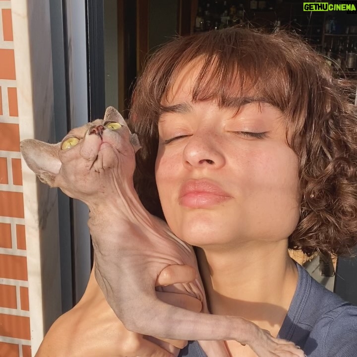 Inês Pires Tavares - 1.3K Likes - Sol de varanda com o meu amor-ódio 🫶🏼