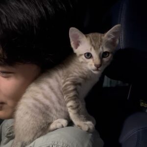 Ingkarat Damrongsakkul Instagram - ลูกน้องผมเอง