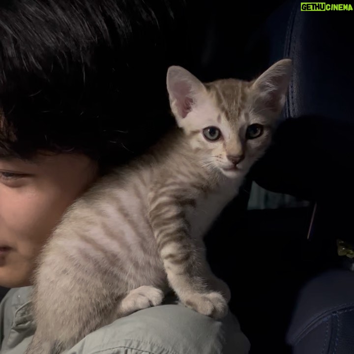 Ingkarat Damrongsakkul - 2.8K Likes - ลูกน้องผมเอง